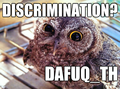 Dafuq owl.png